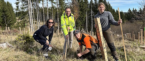 Vier Personen pflanzen Bäume